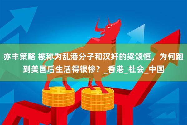 亦丰策略 被称为乱港分子和汉奸的梁颂恒，为何跑到美国后生活得很惨？_香港_社会_中国