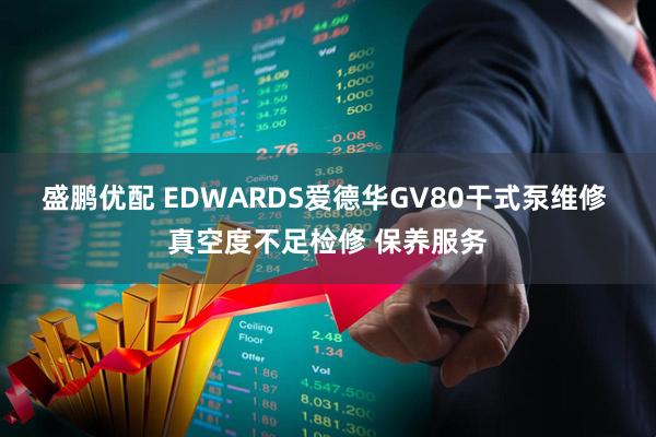 盛鹏优配 EDWARDS爱德华GV80干式泵维修 真空度不足检修 保养服务